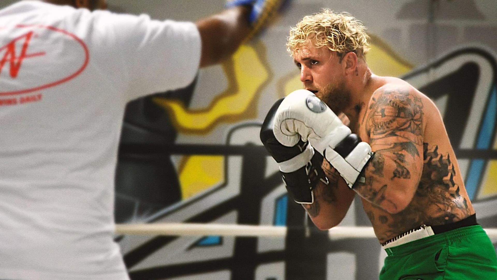 Numărătoare inversă: Paul vs Tyson