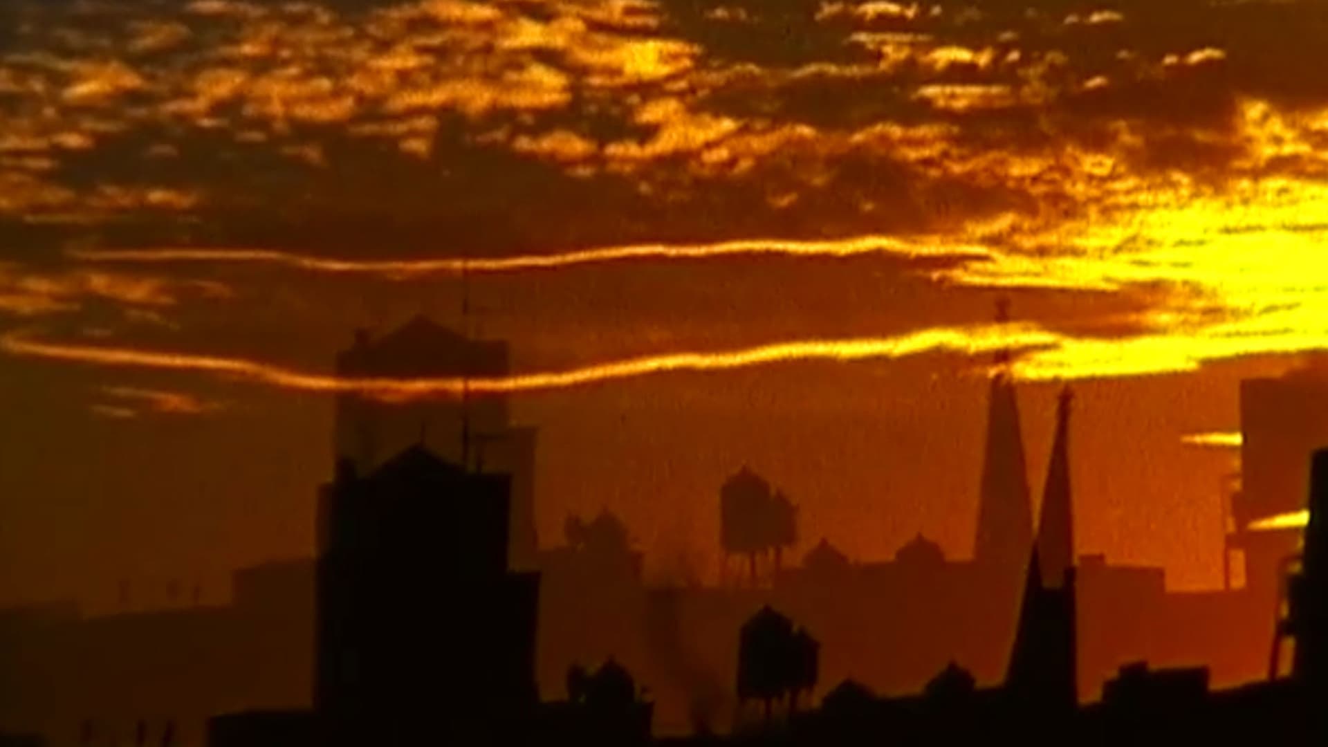 Forever and Sunsmell