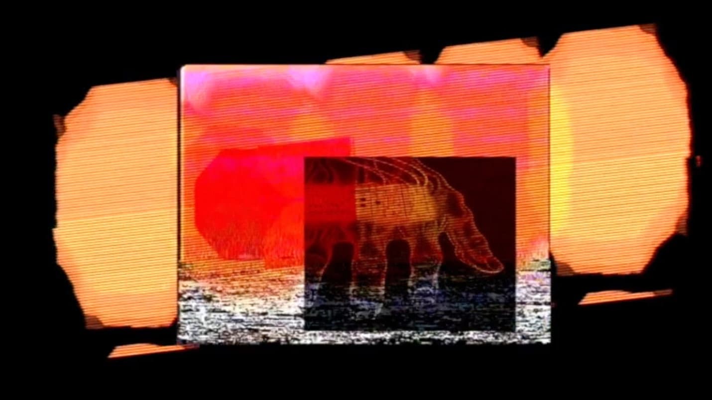 Sil, o el televidente