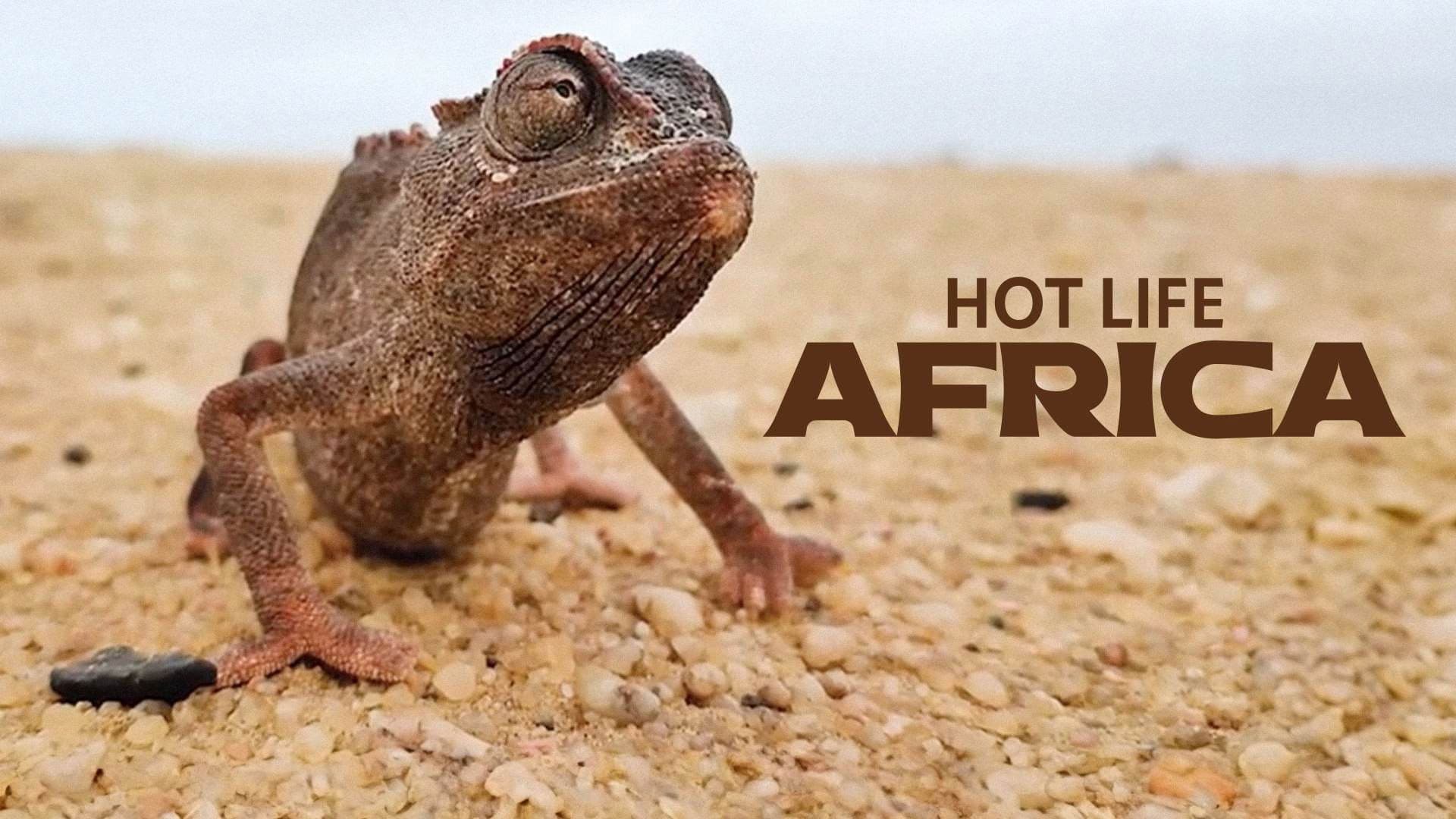 Hot Life: Africa
