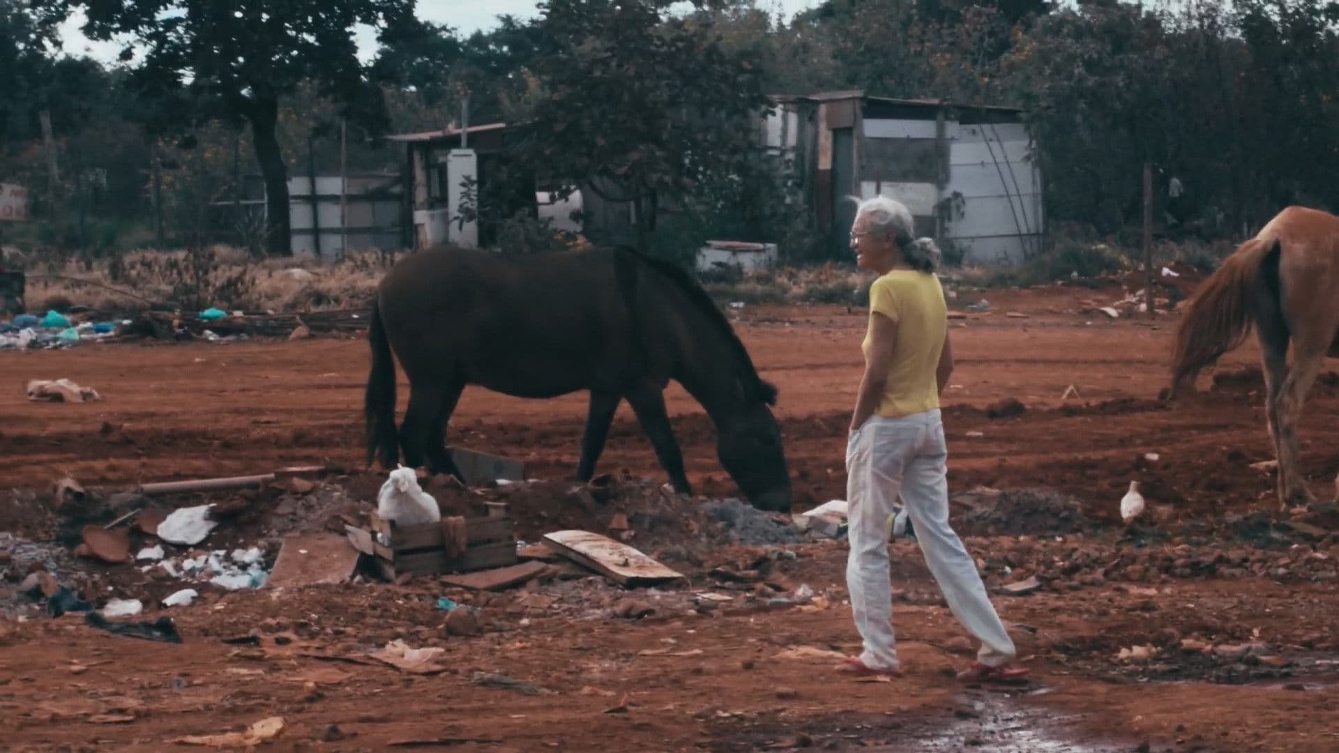 Maluco Voador: Além do Som