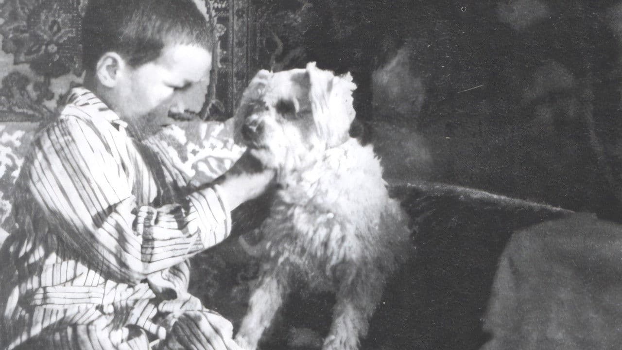 Толбот хивс