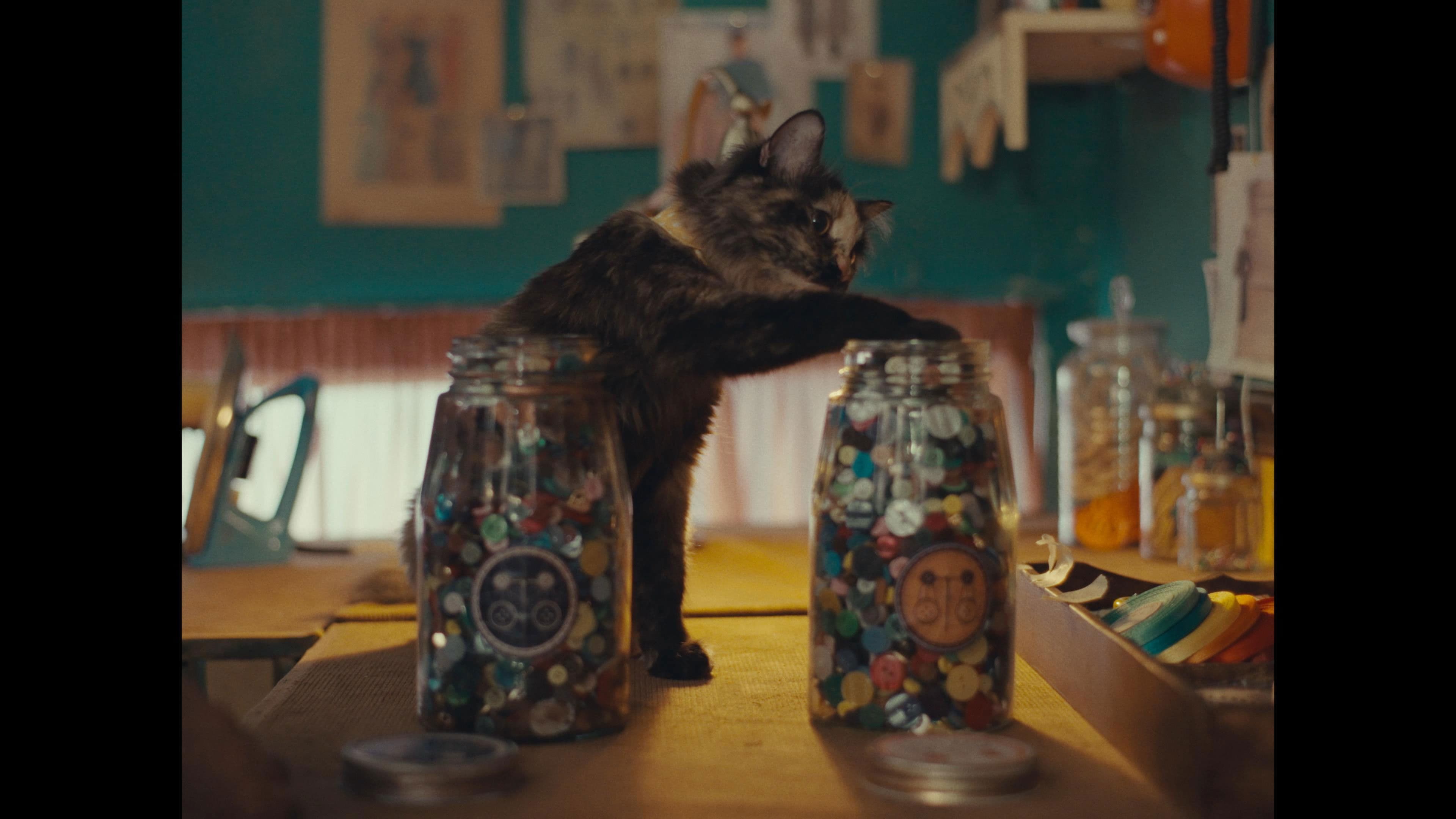 از اینجا باز شود