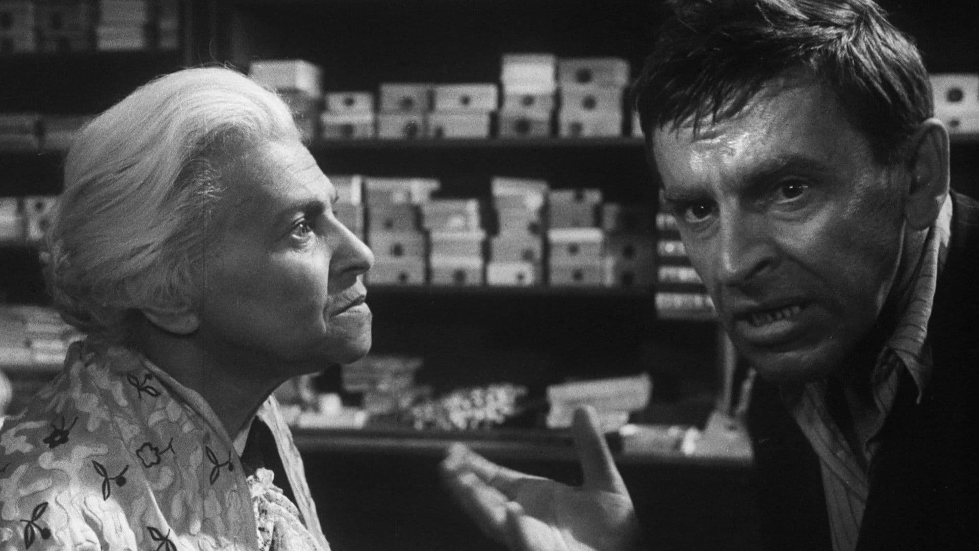 Magazinul de pe strada mare