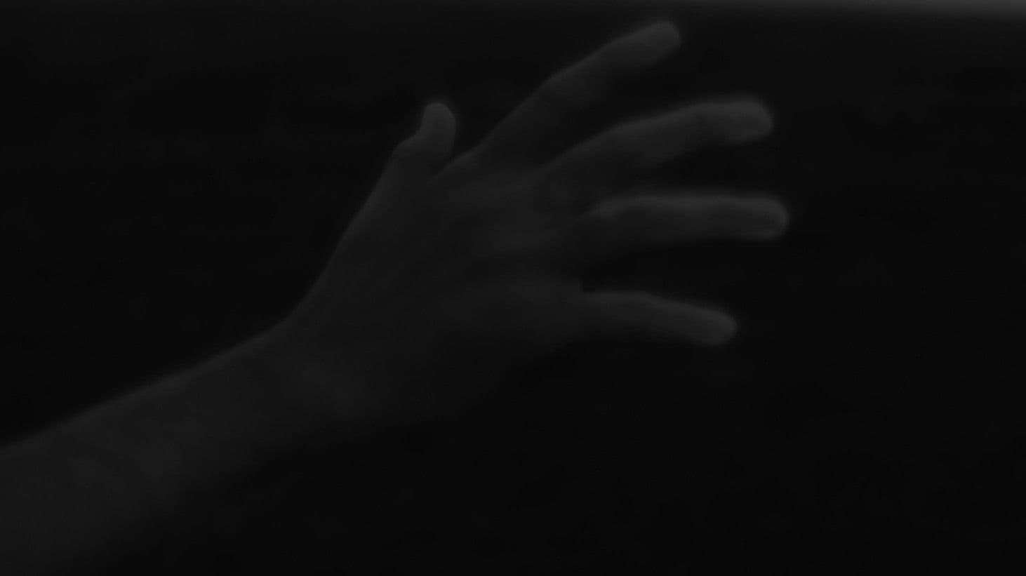 Three Studies of a Nightingale