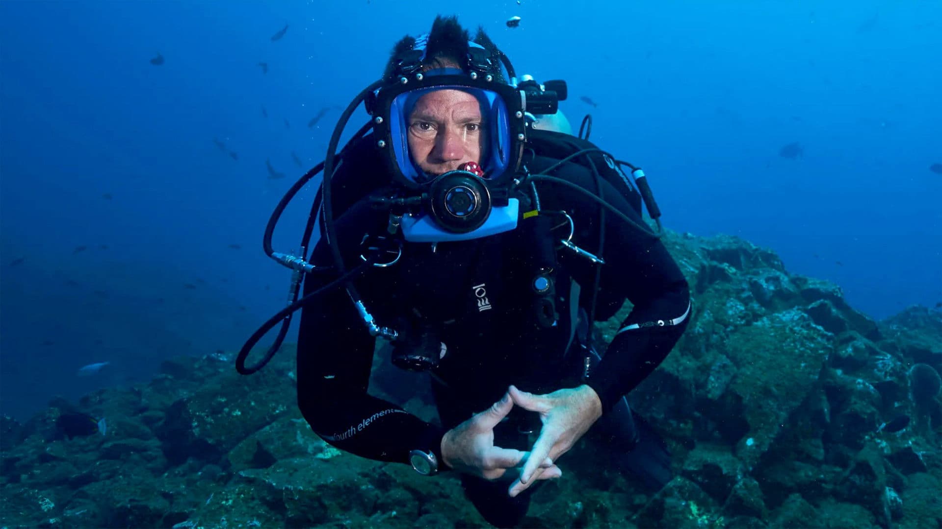 Rechini cu Steve Backshall