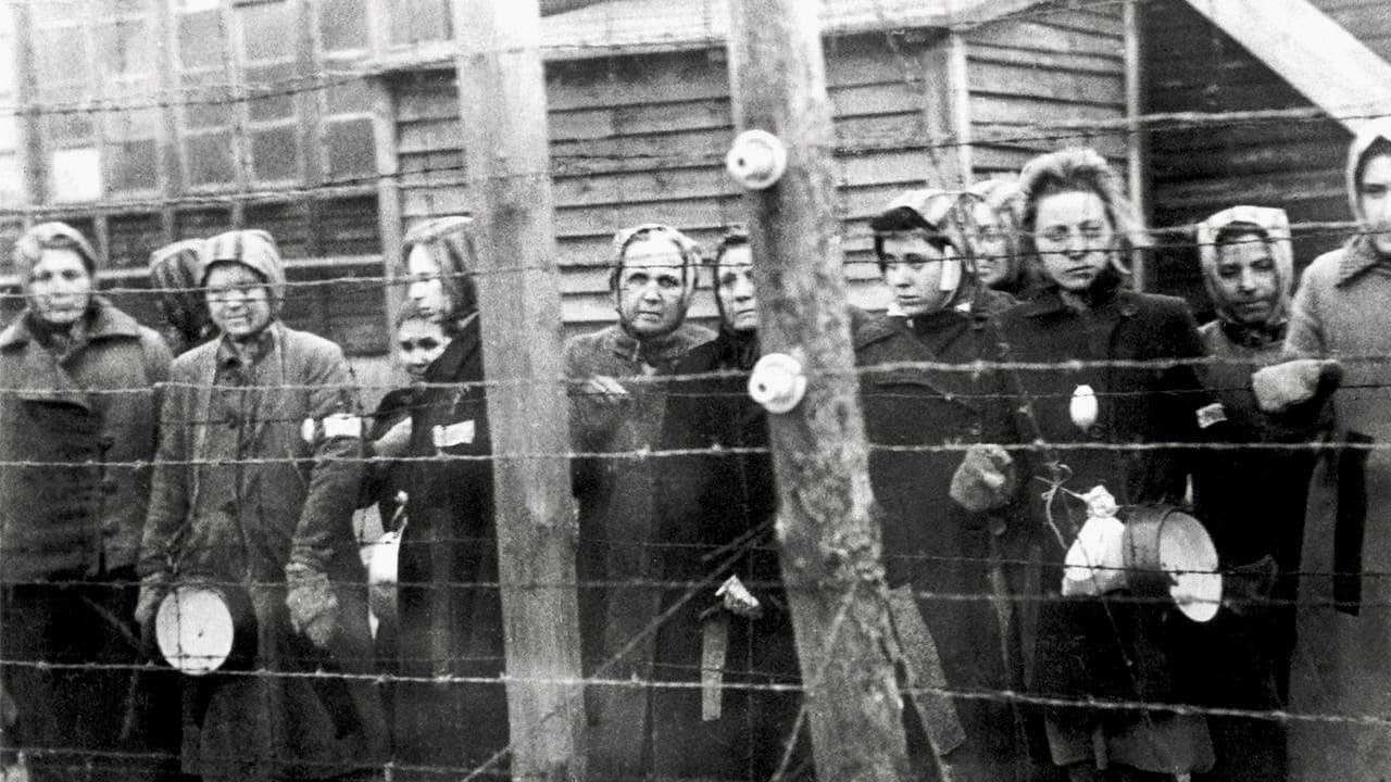 Ravensbrück, le camp oublié