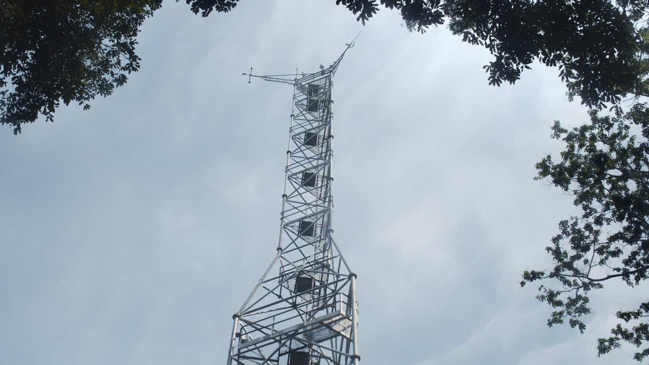 L'arbre de l'authenticité