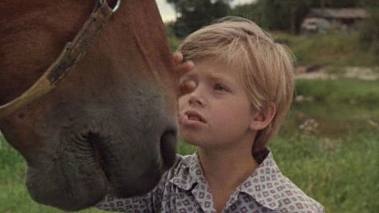 Хомут для Маркиза