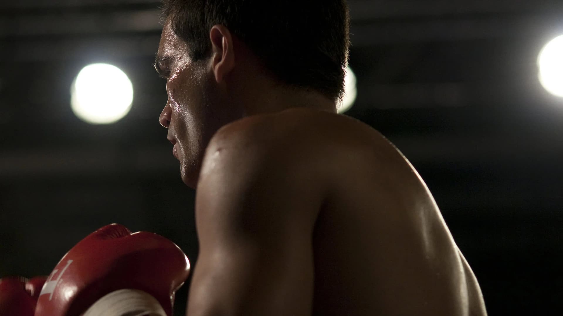 Two Fists, One Heart