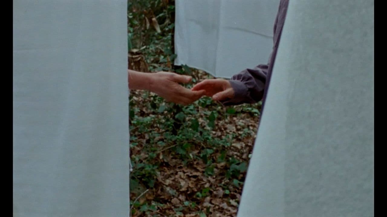 Si pogués sostenir-me com ho fan els arbres