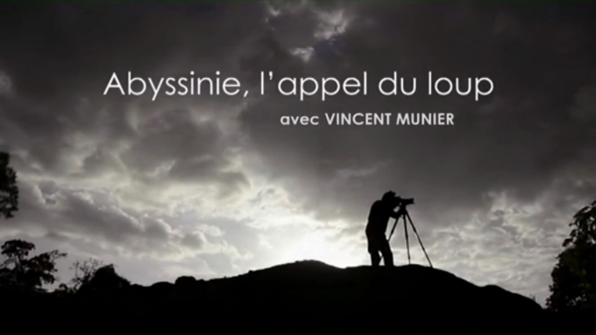 Abyssinie, L'appel Du Loup
