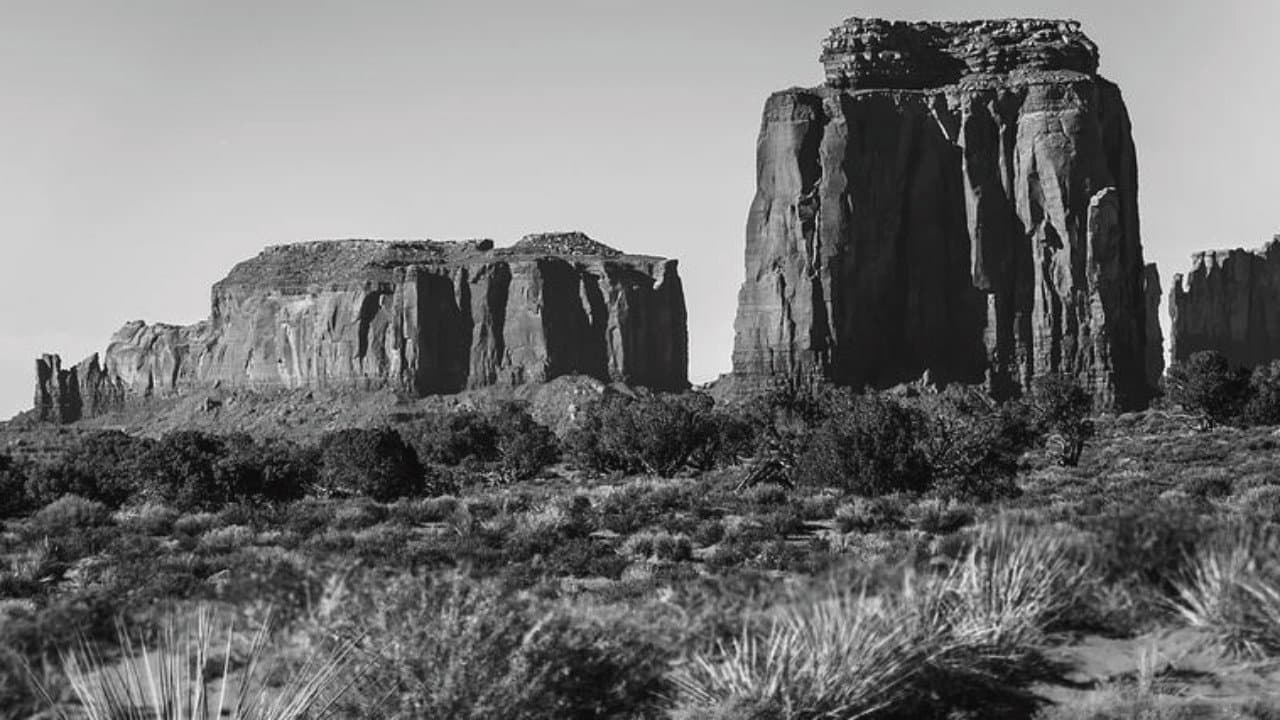 The Rise and Fall of the Wild West