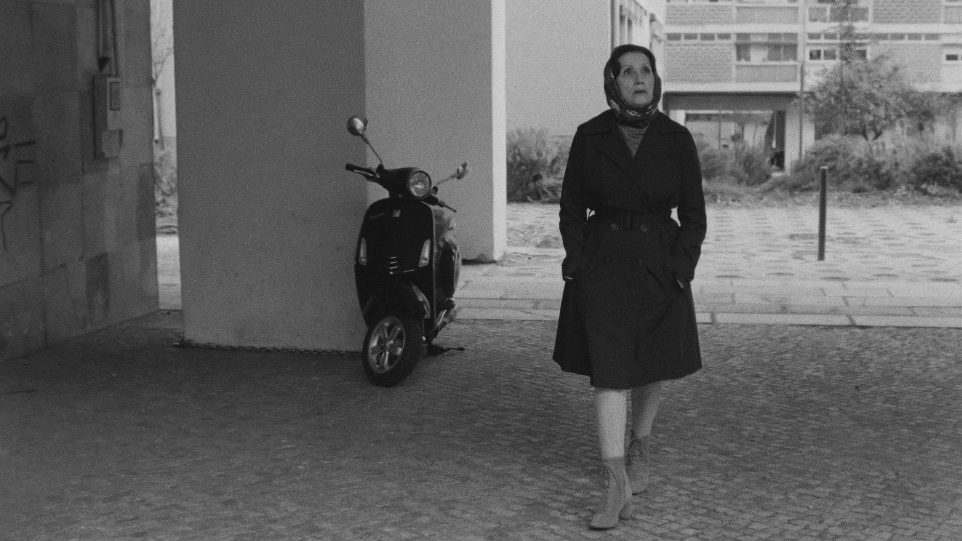 Onde Fica Esta Rua? ou Sem Antes Nem Depois