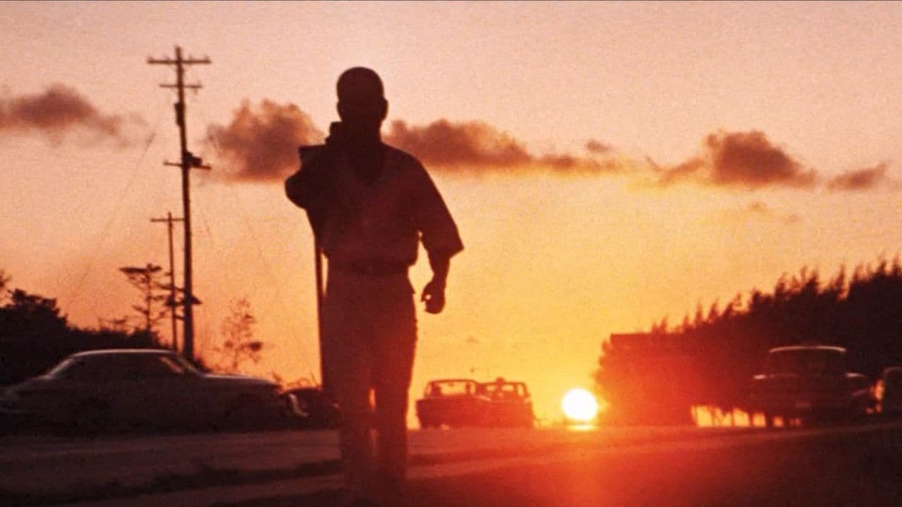 網走番外地 南国の対決