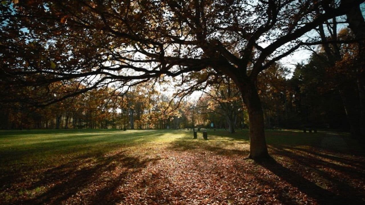 Последнее фото