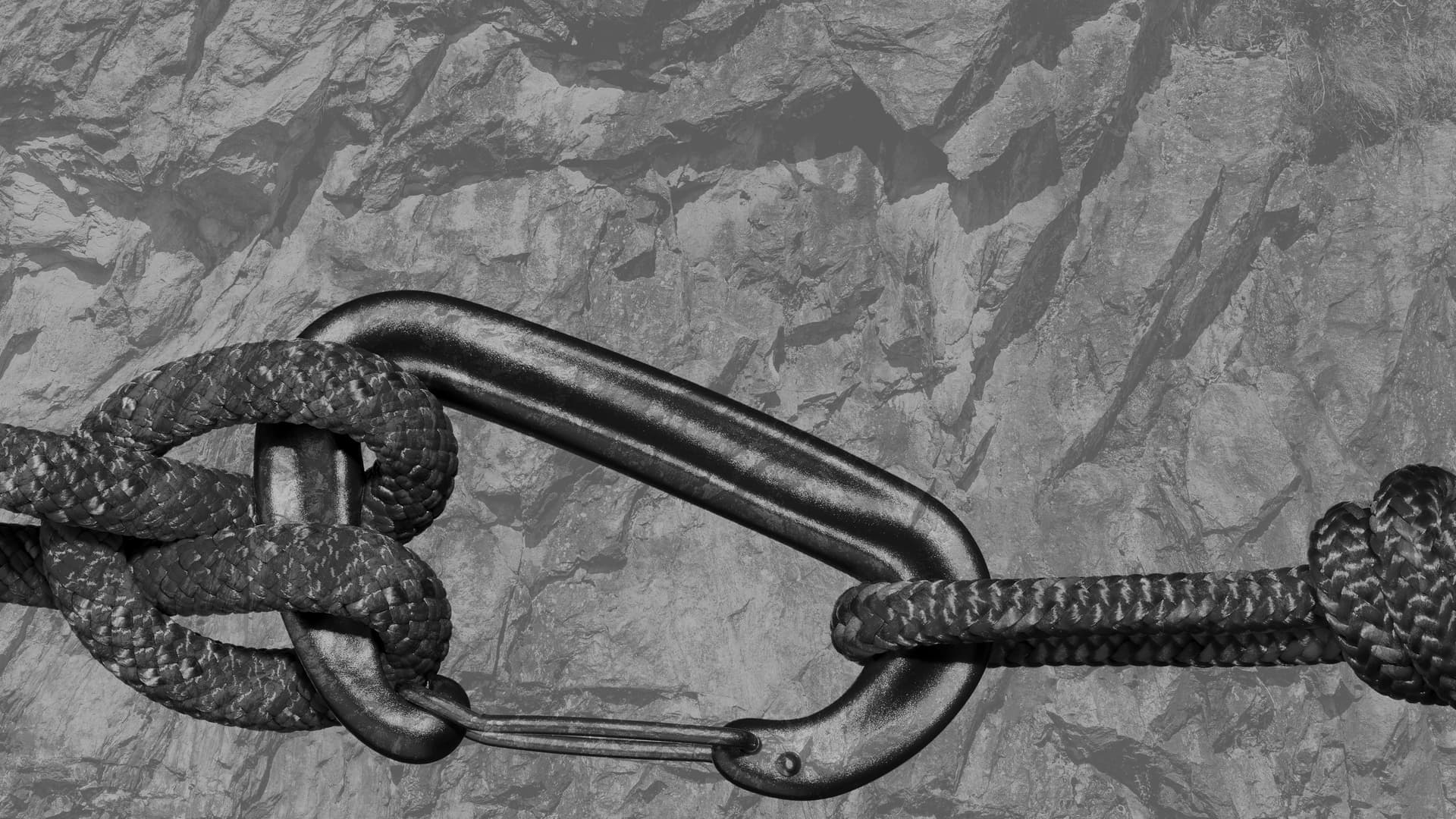 Conectați în sălbăticie