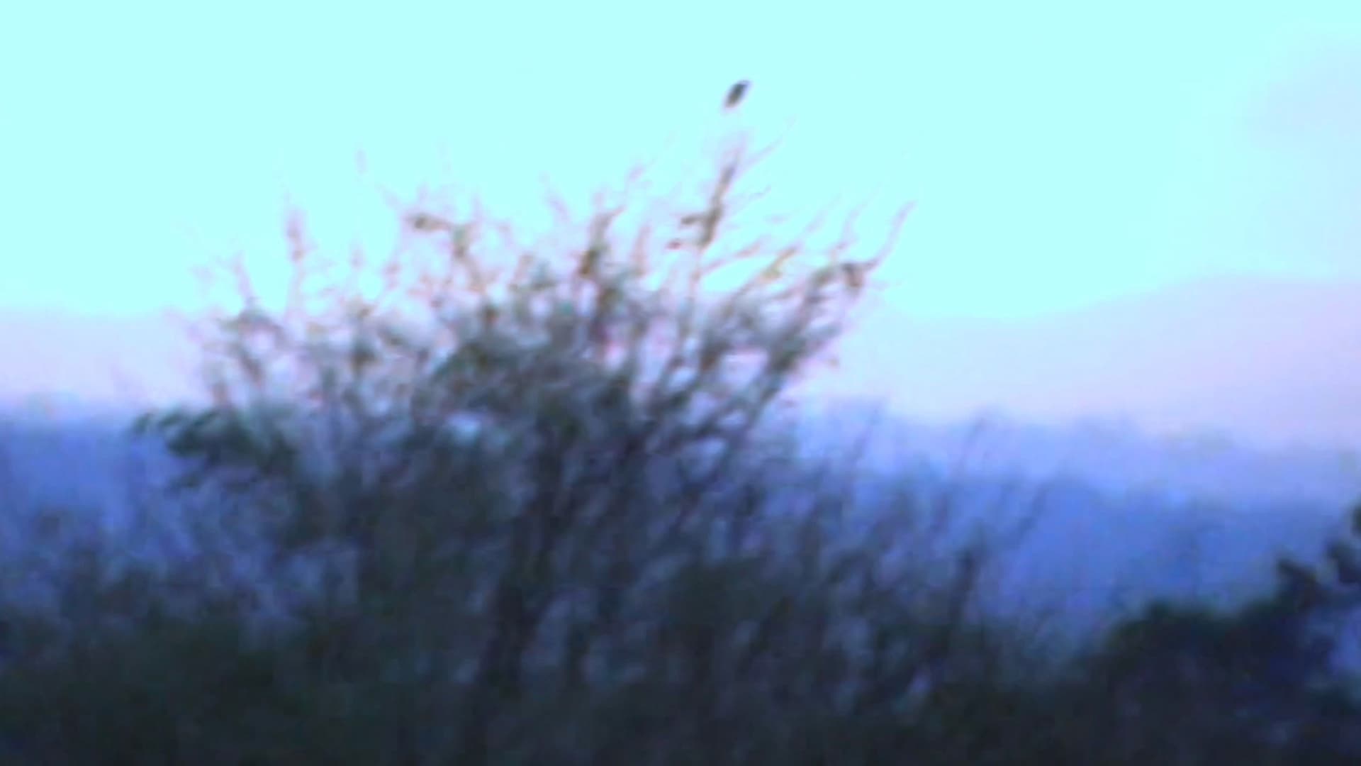 I BURNT MY BRAIN FOR YOU