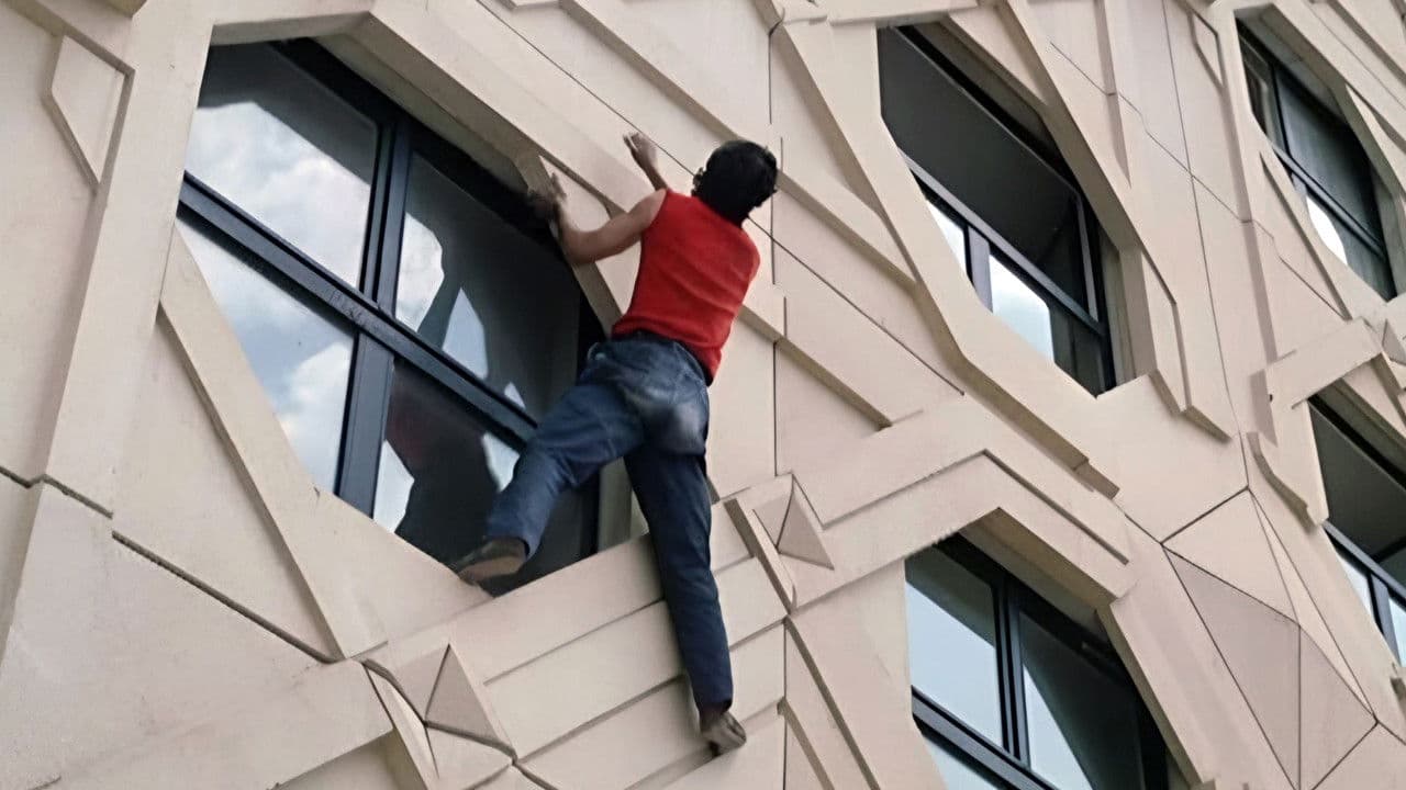 La Face Nord du Camembert