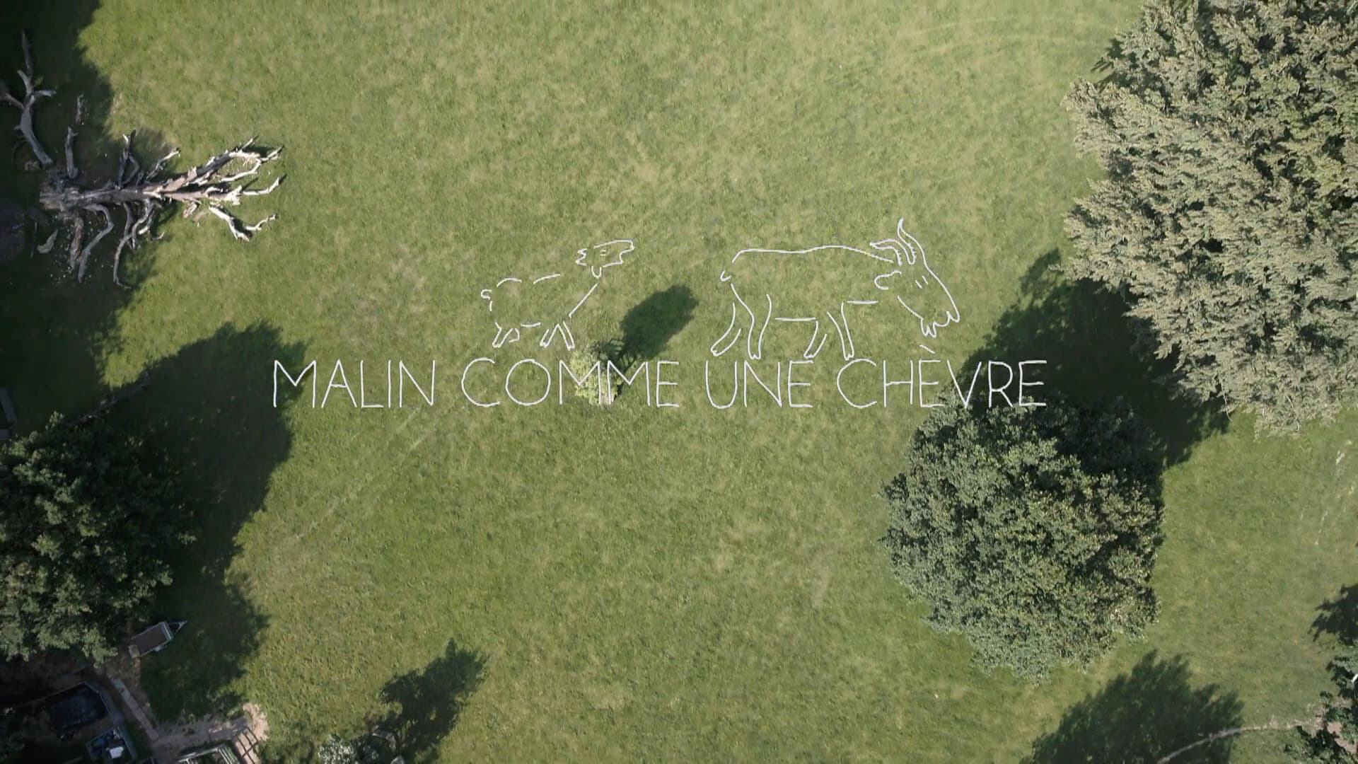 Malin comme une chèvre