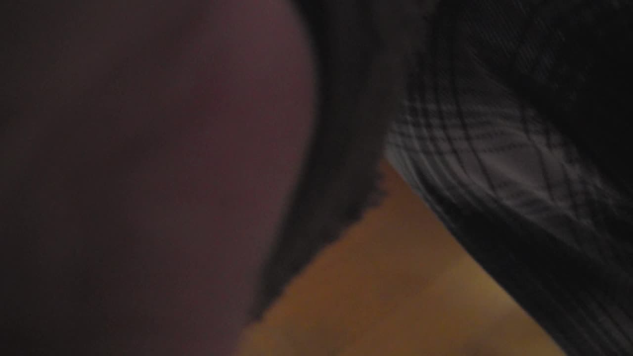 The Aquatic Ape Hypothesis