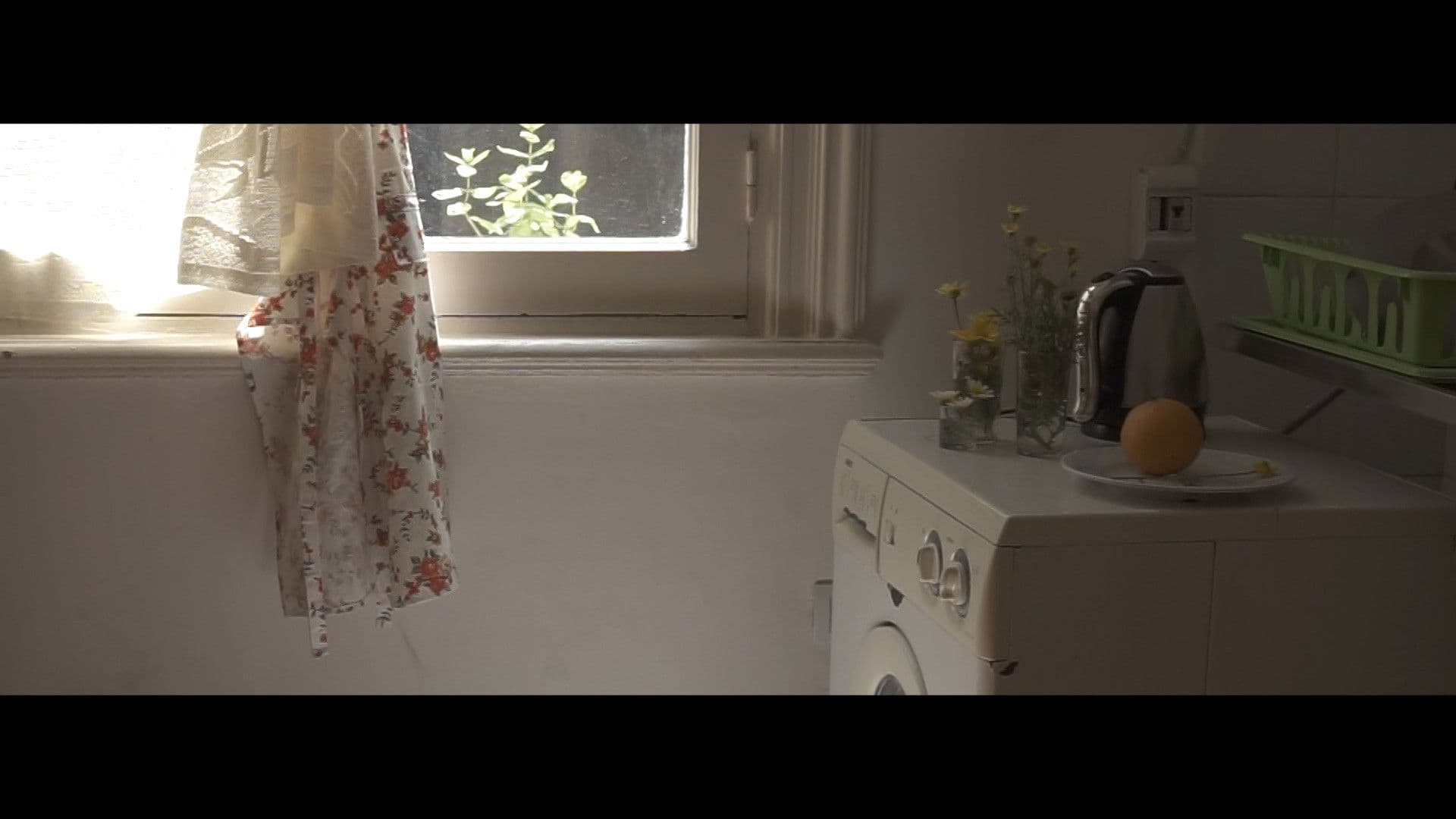 أحبت أمي اللون الأخضر