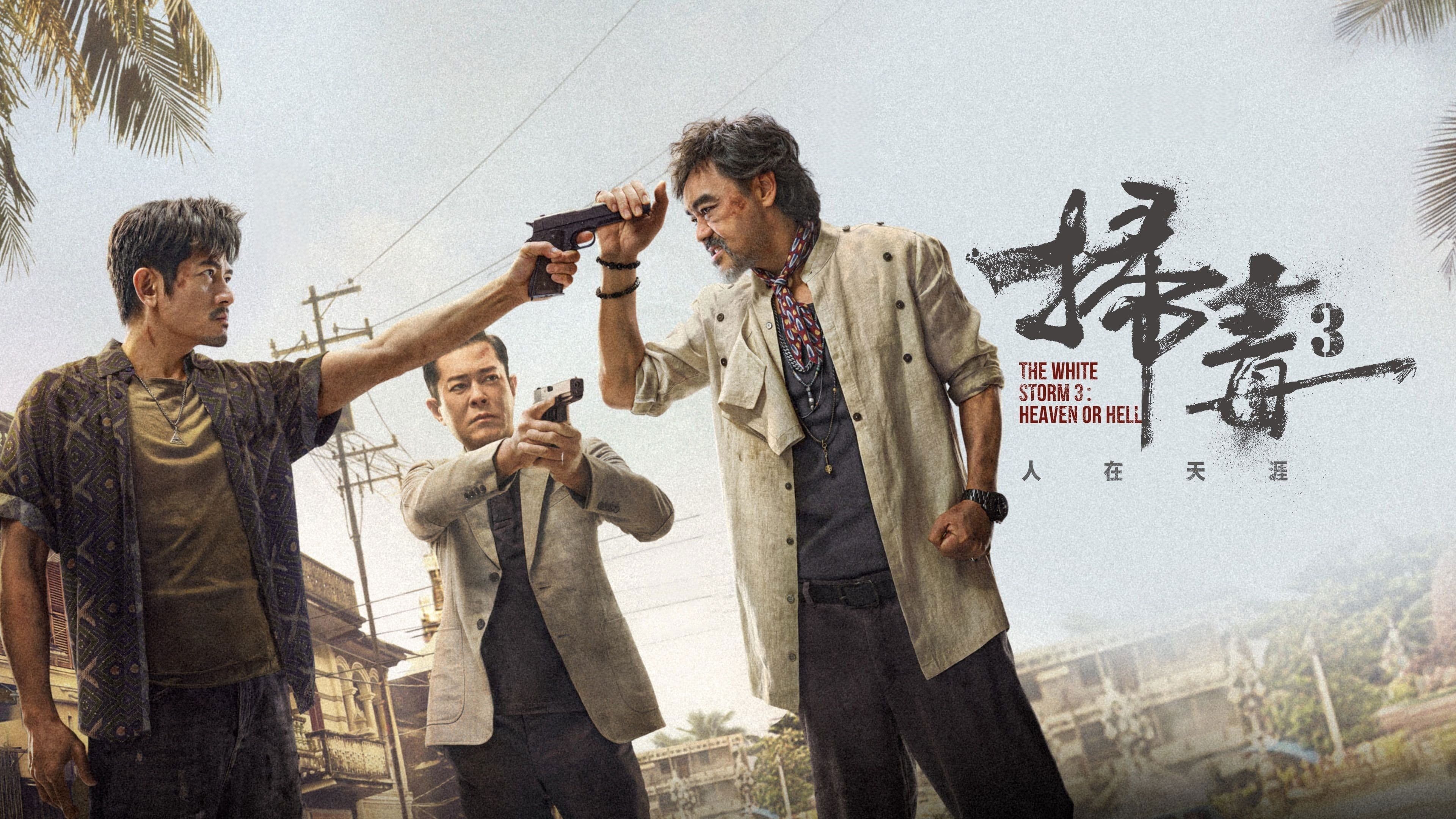 掃毒3︰人在天涯