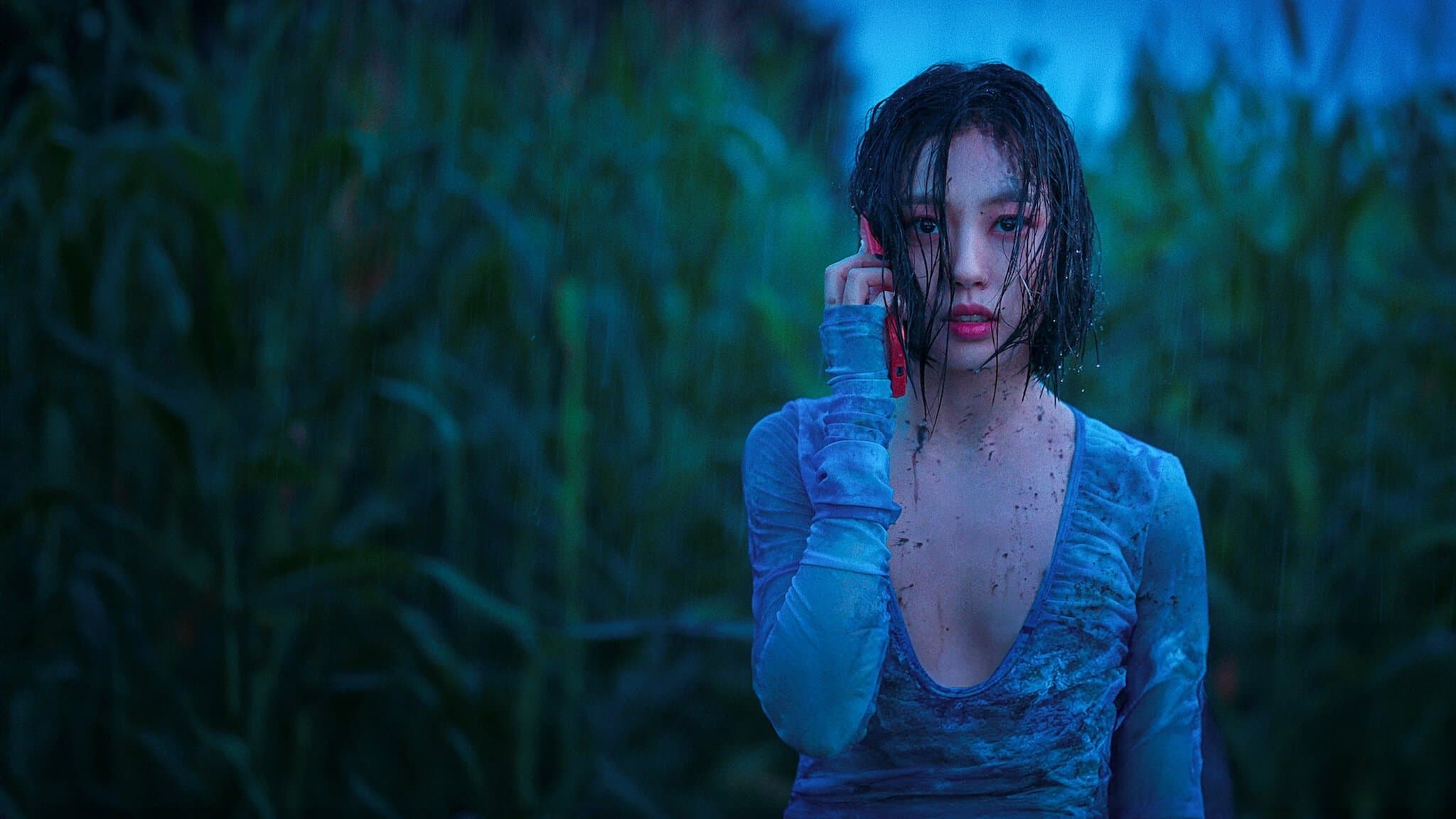 Dacă un copac cade în pădure...