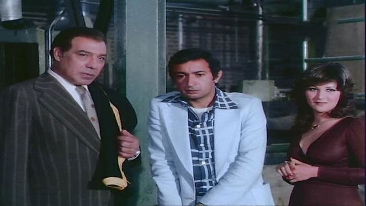 قطة على نار