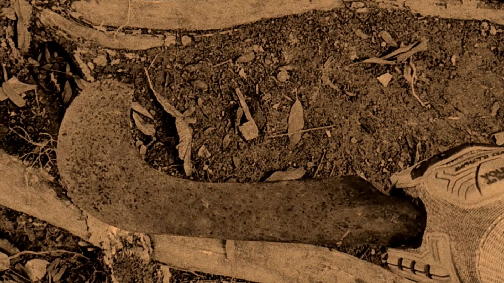 As Lágrimas do Carrasco