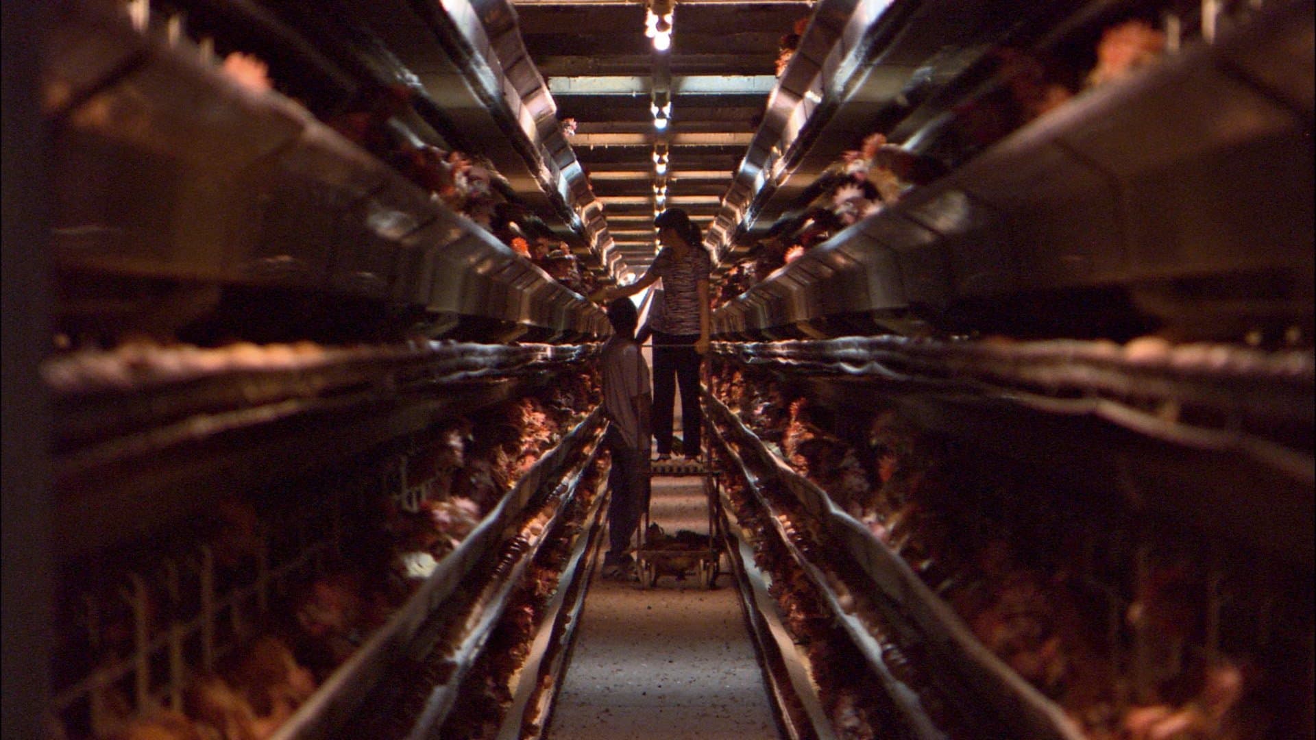 Pâinea noastră zilnică