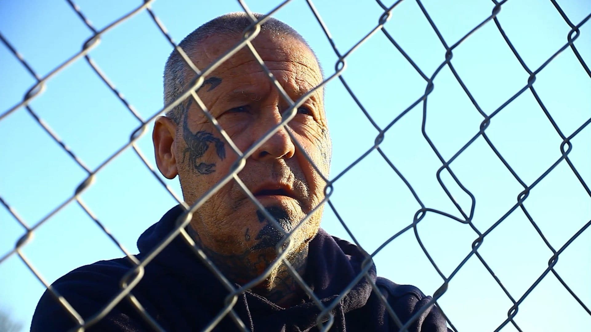 The Devil Makes Work For Idle Hands