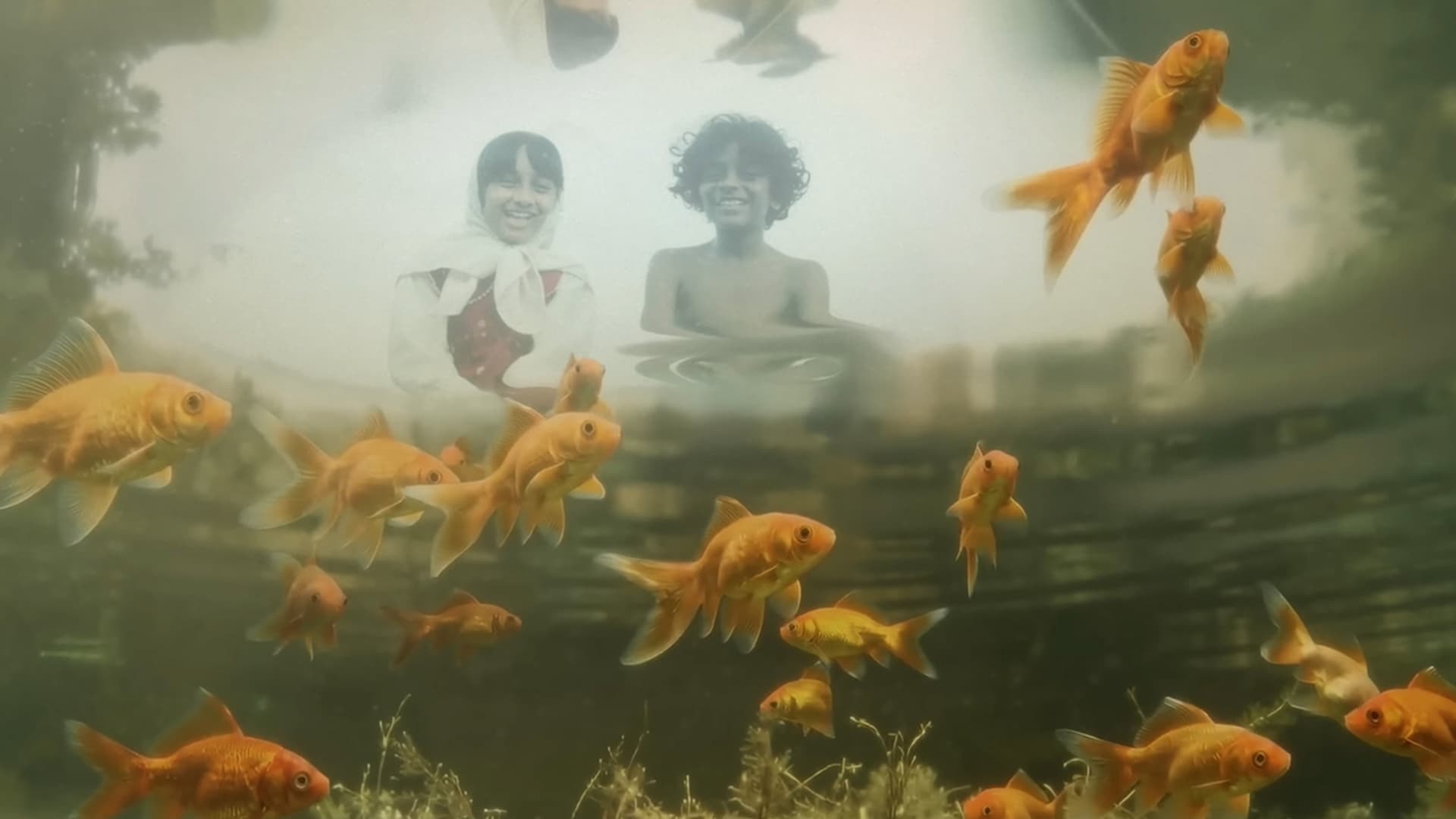 മഴമീനുകൾ