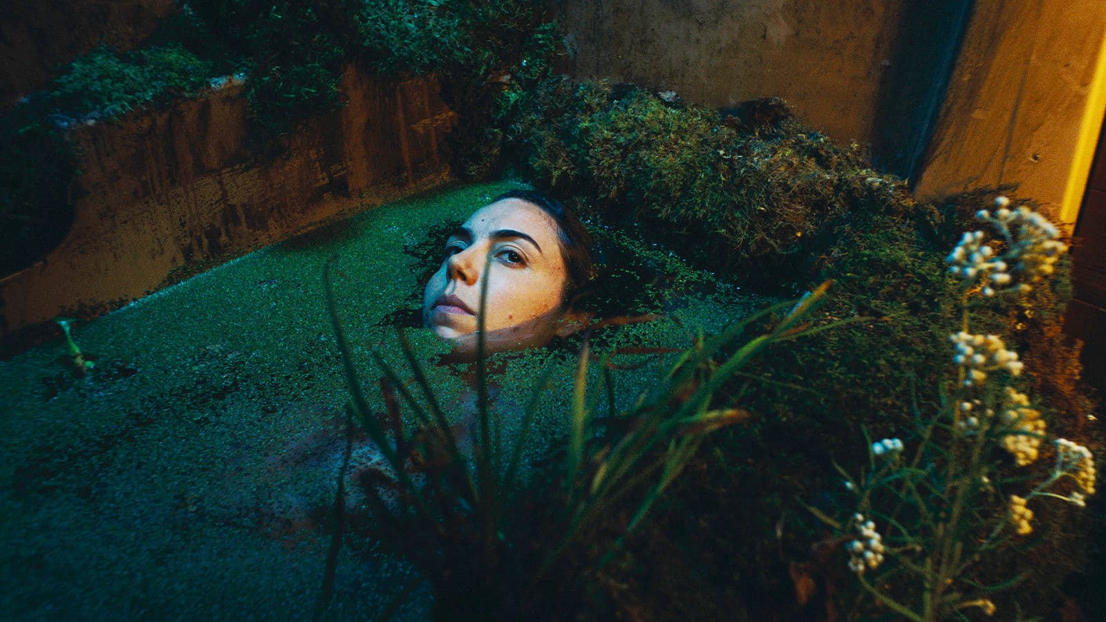 I Think I'd Like to Stay