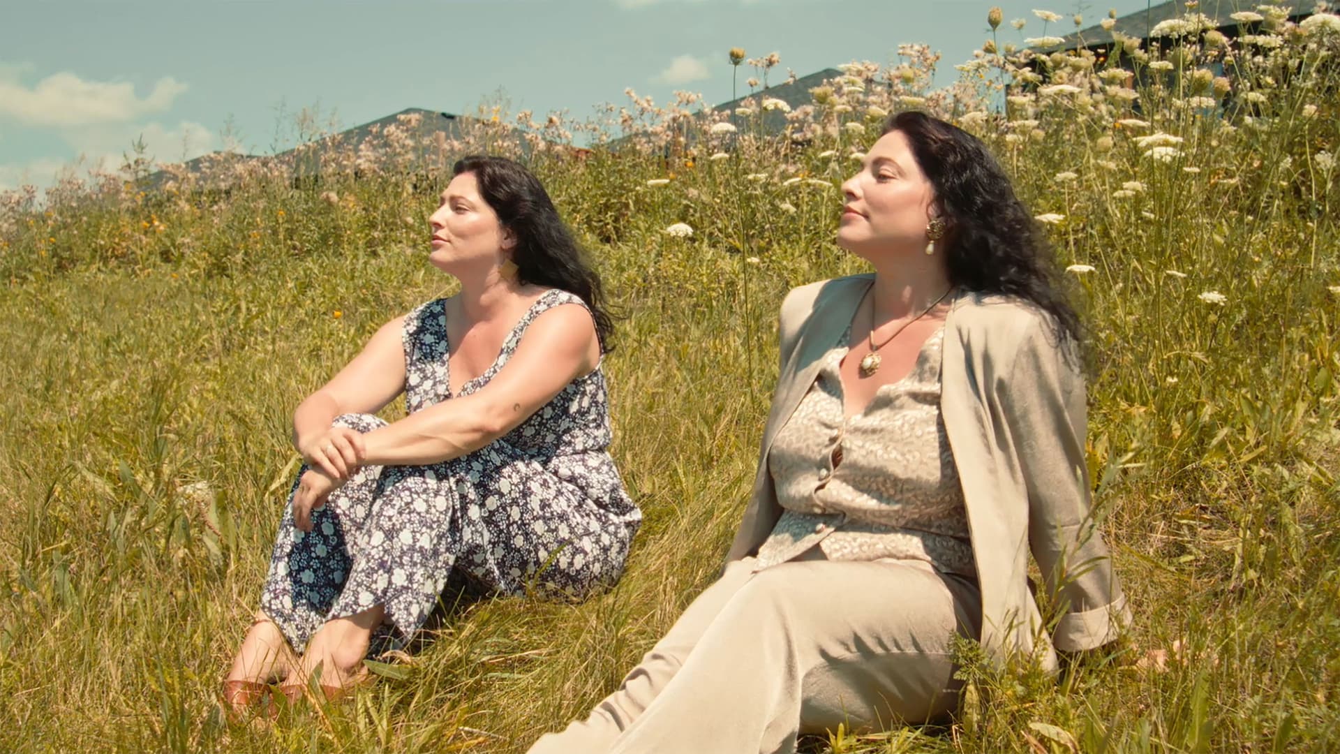 Call of the Blackbird