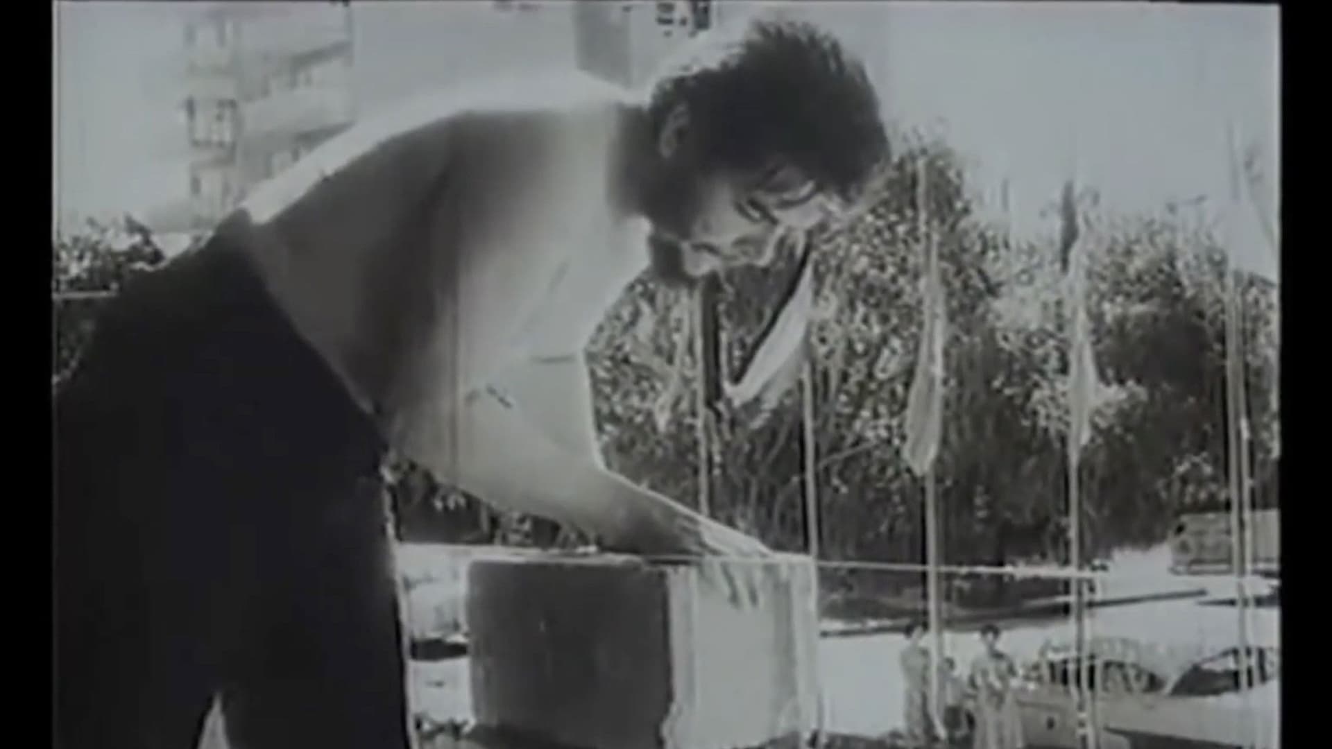 Constructor Cada Día, Compañero