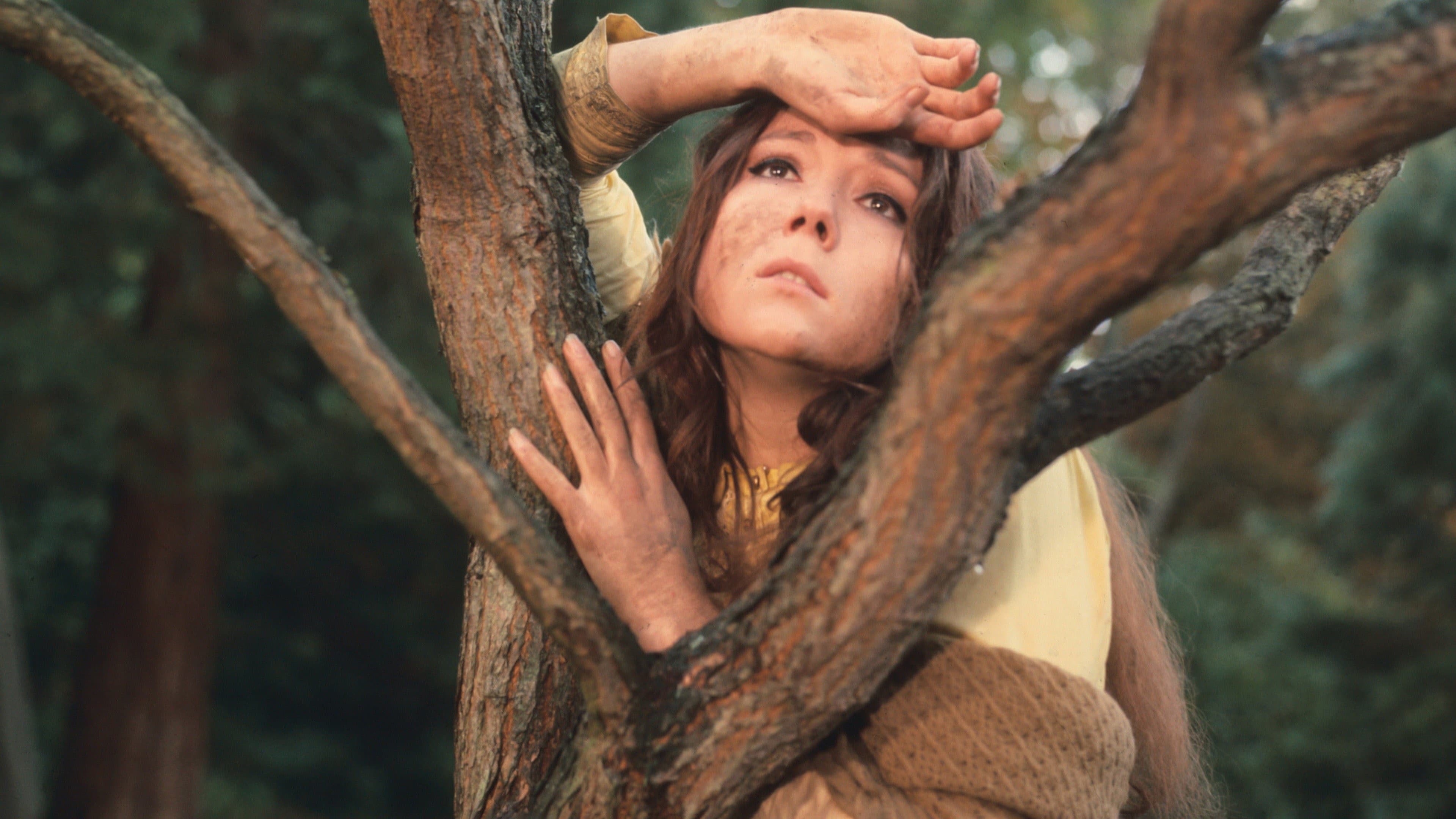 A Midsummer Night's Dream