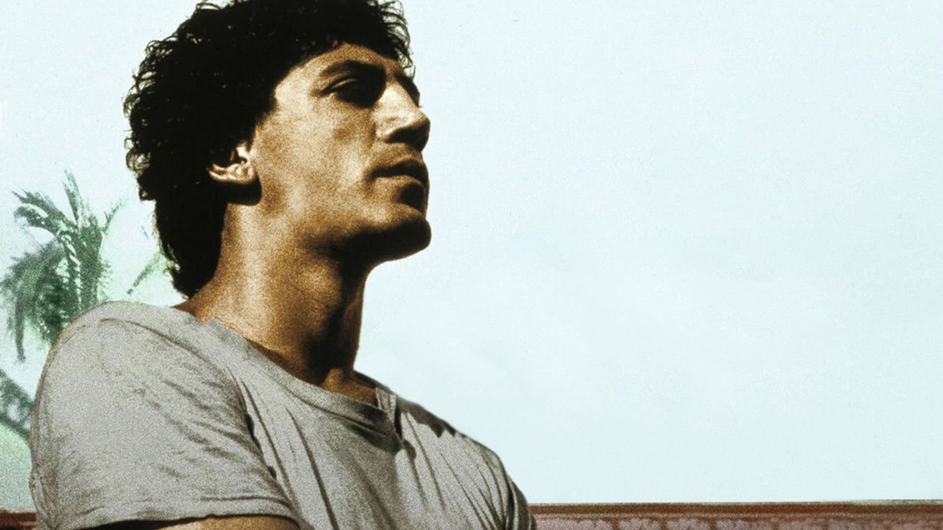 Înainte de căderea nopții