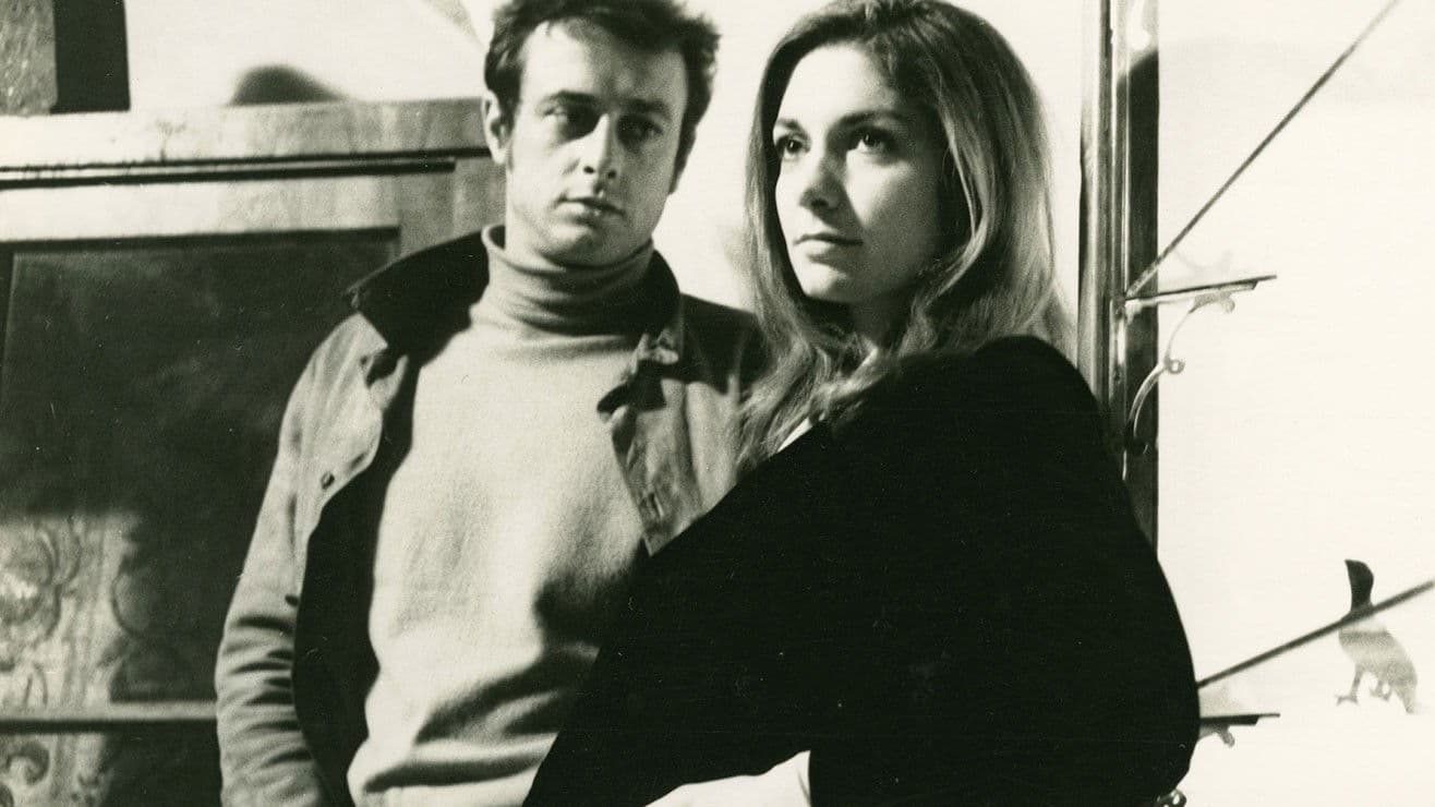 Moos auf den Steinen