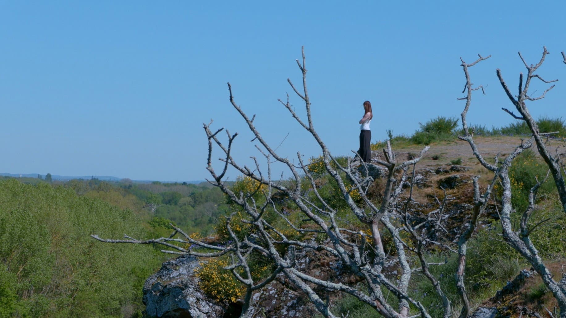 À L'Abri D'Un Double Soleil