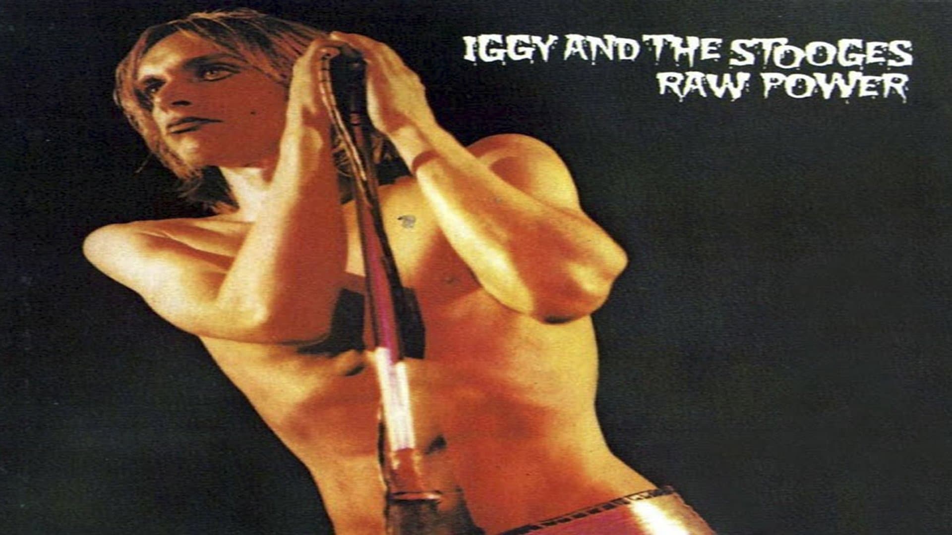 Iggy Pop And The Stooges: Raw Power Live - In The Hands Of The Fans