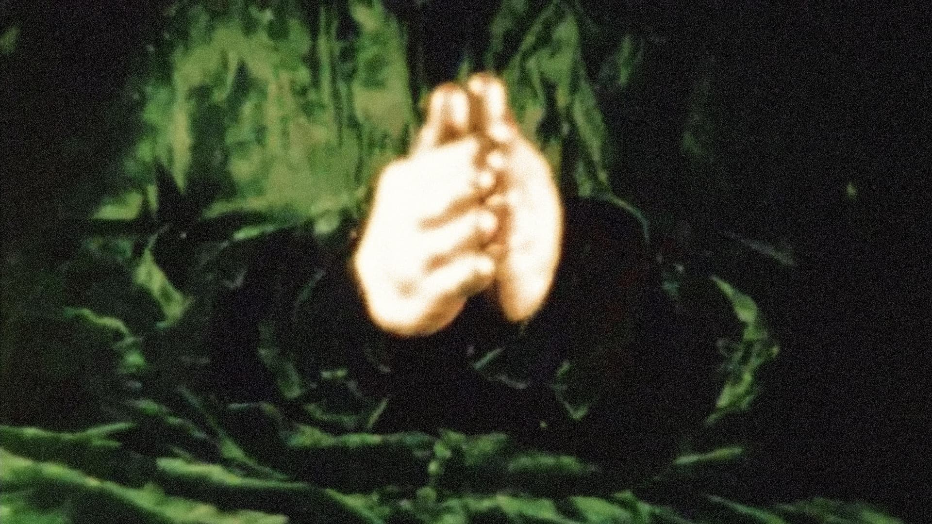 The Story of the Little Green Man