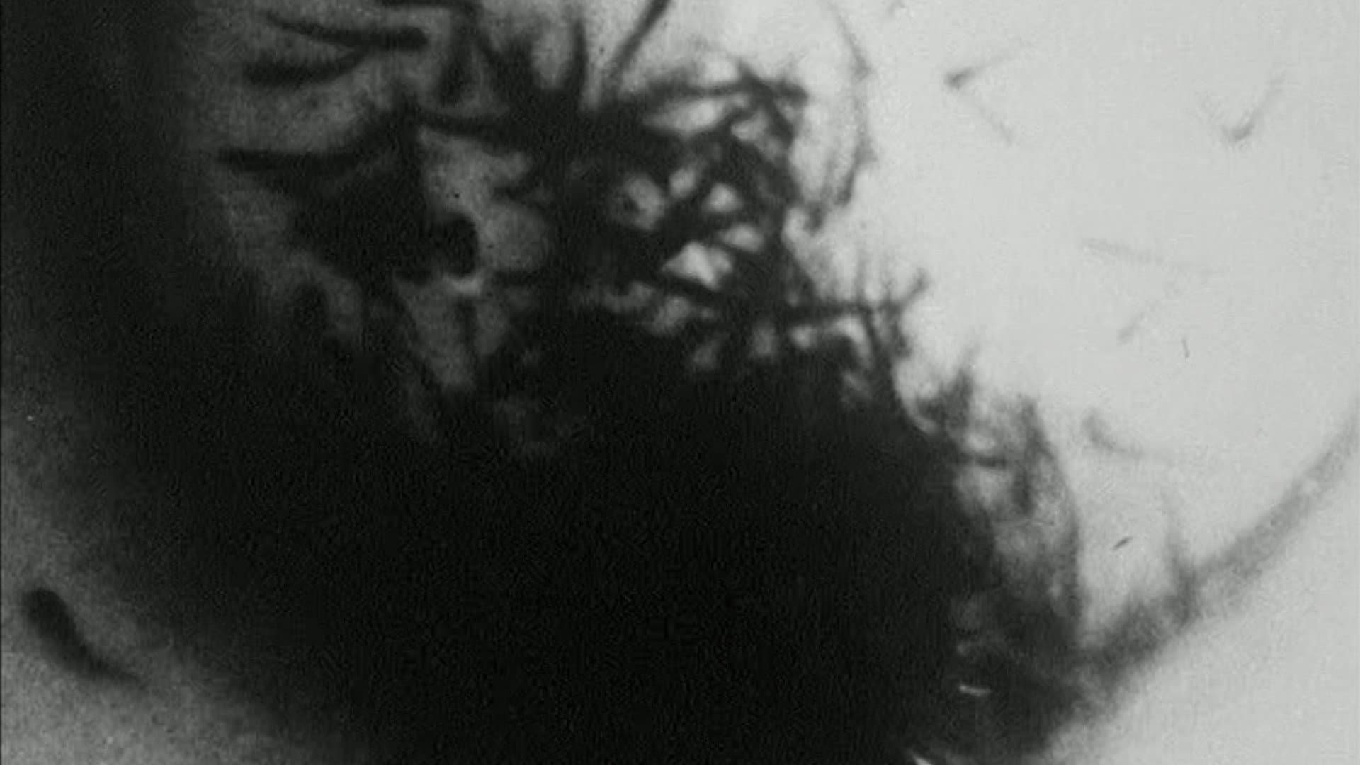 Fischfang in der Rhön (an der Sinn)