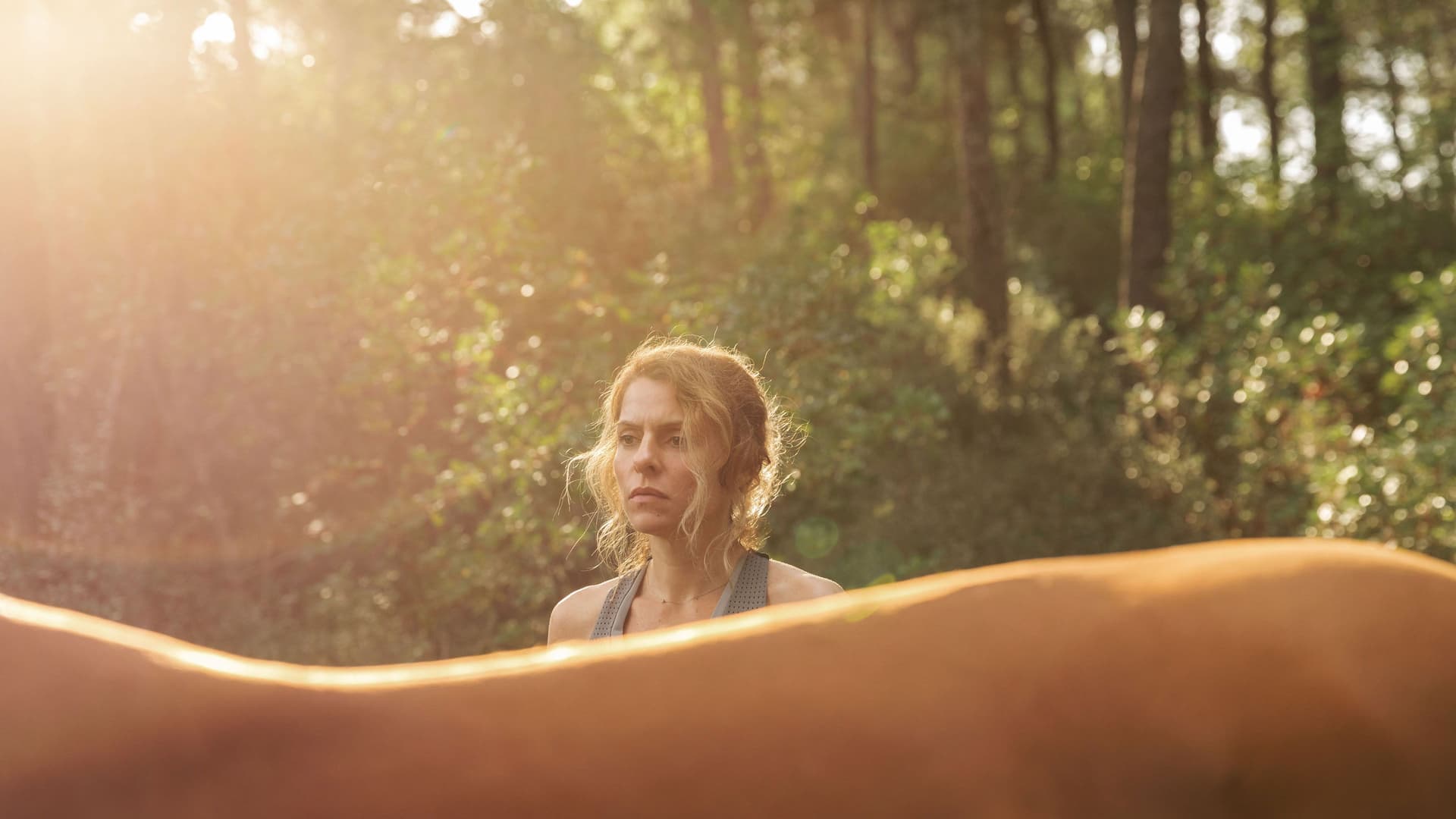 Toți acei cai frumoși