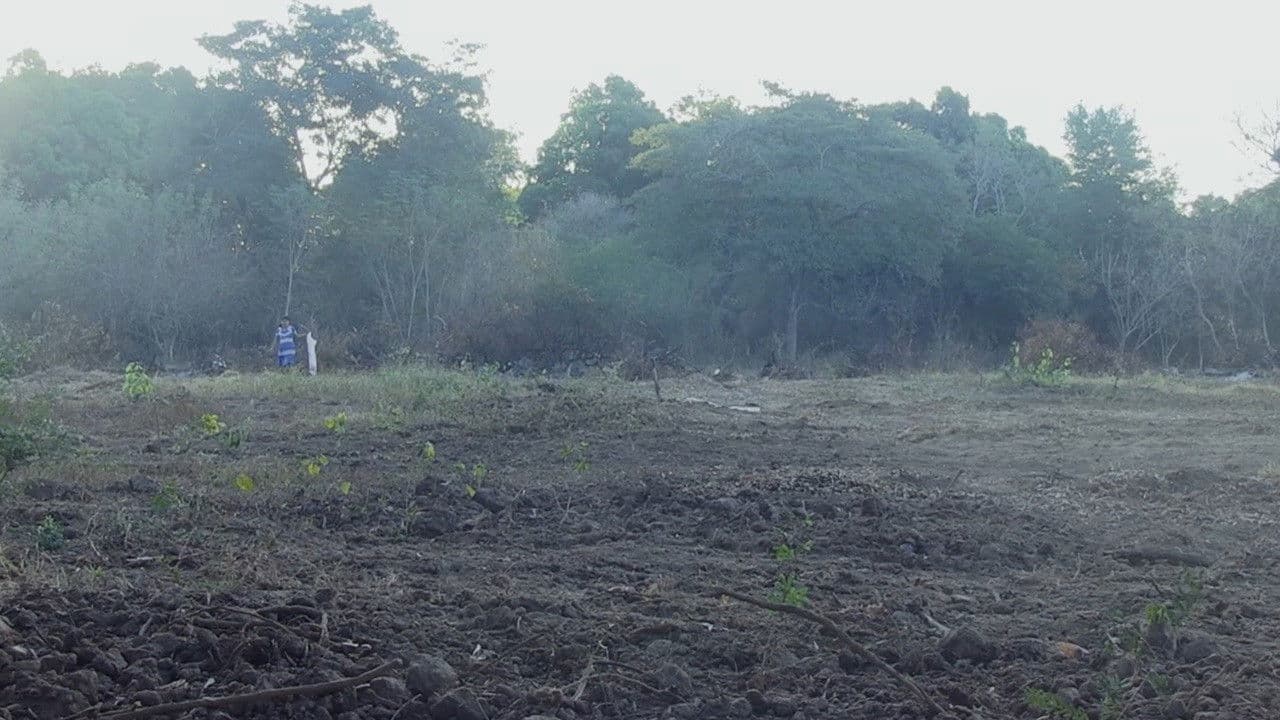 Siempre Andamos Caminando