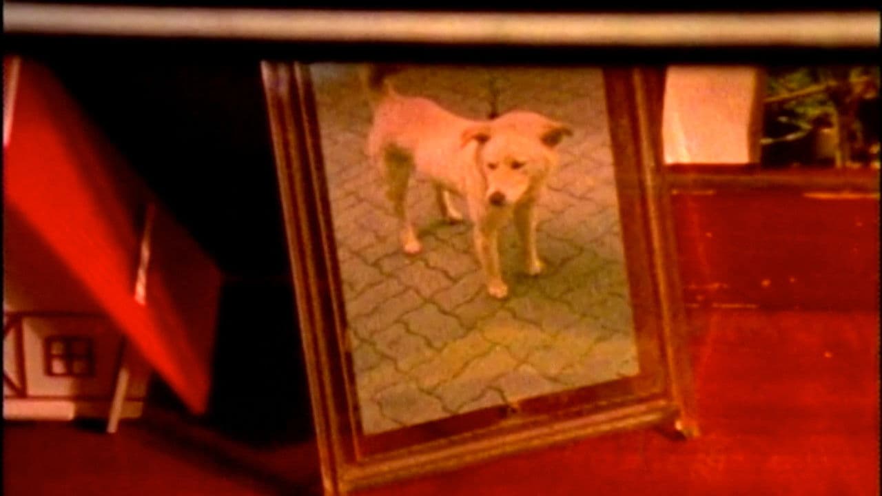 프레임 속의 기억들