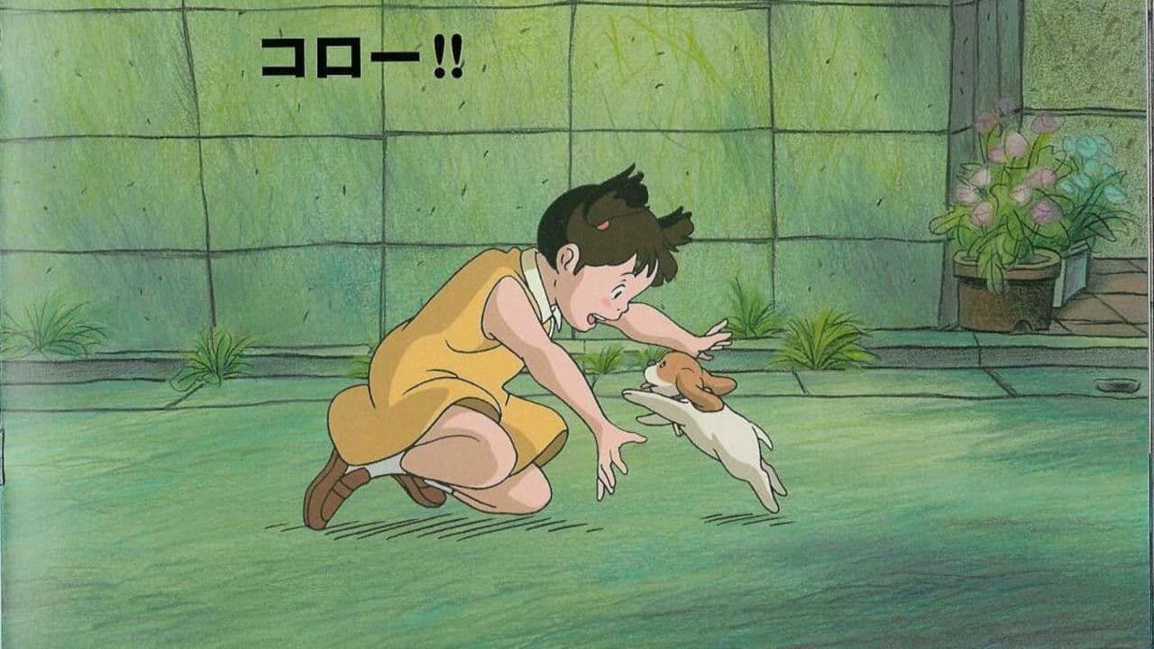 コロの大さんぽ