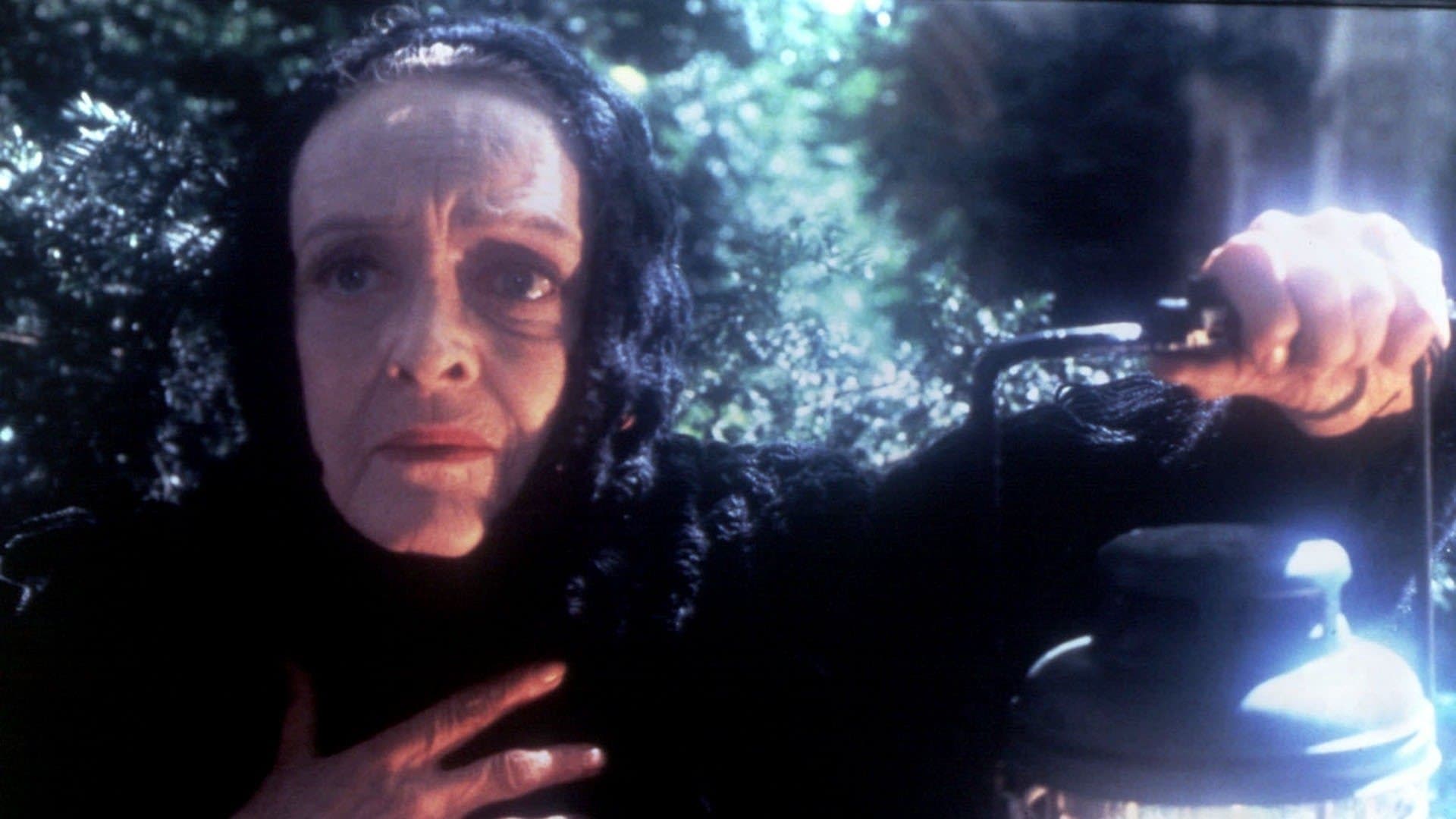 The Watcher in the Woods