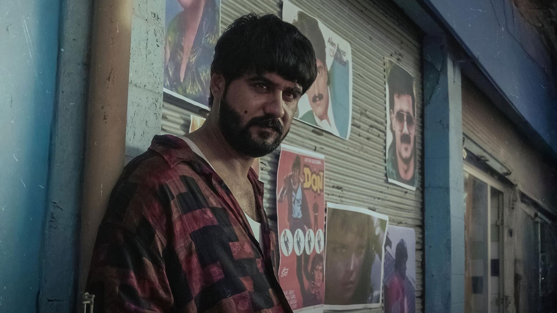 بەڕازیلیە شینەکە