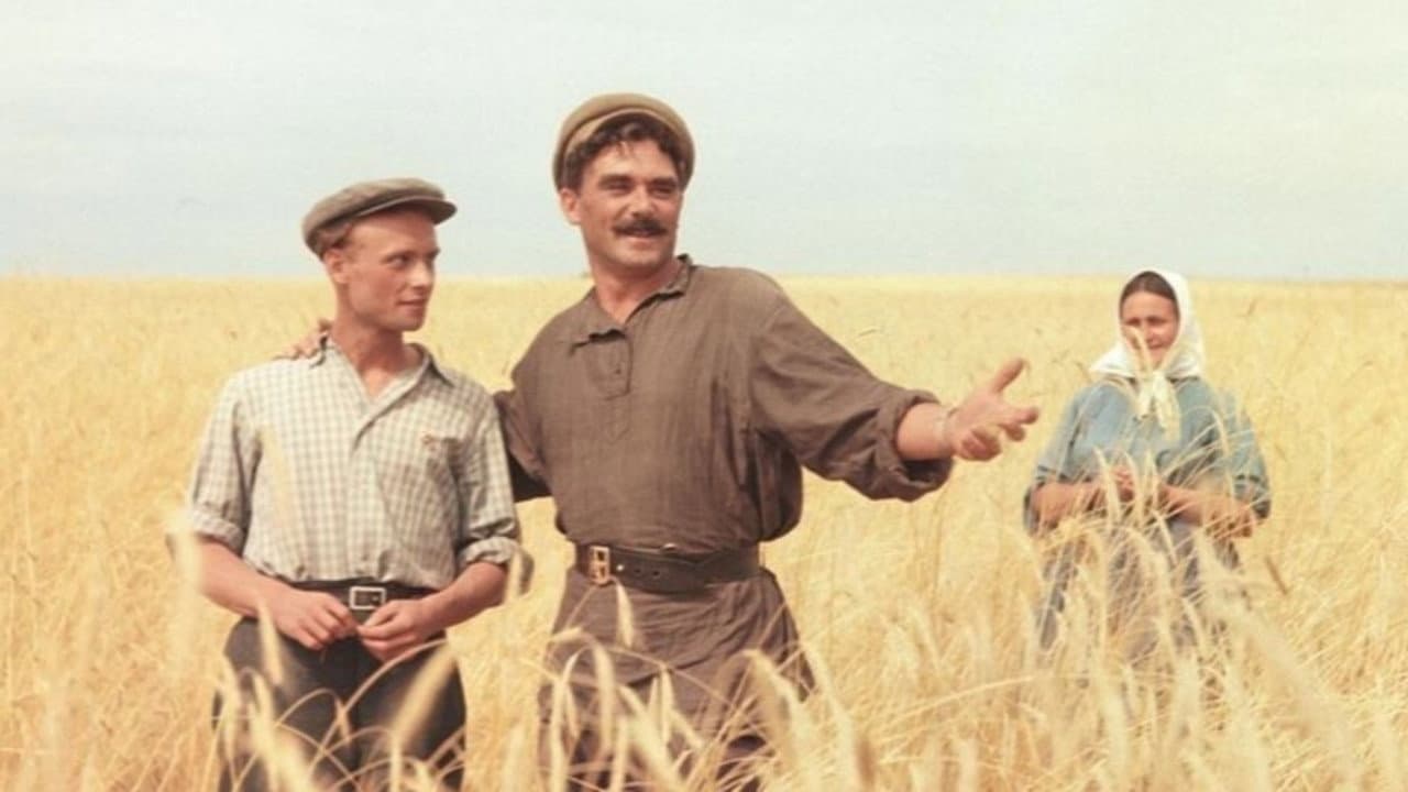 Возвращение Василия Бортникова